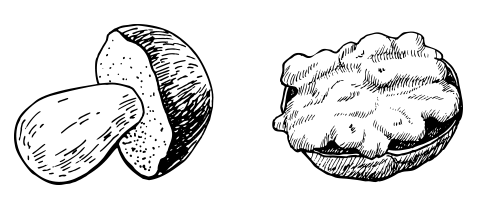 Ingredienti liquore icone
