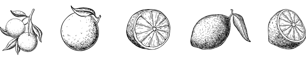 Ingredienti liquore icone