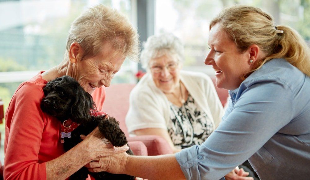 People holding a small dog