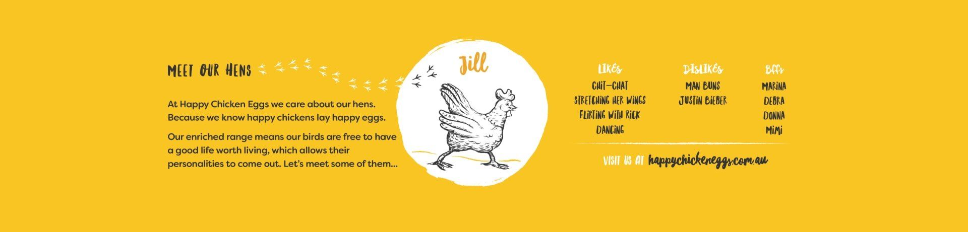 Meet our hens - Jill