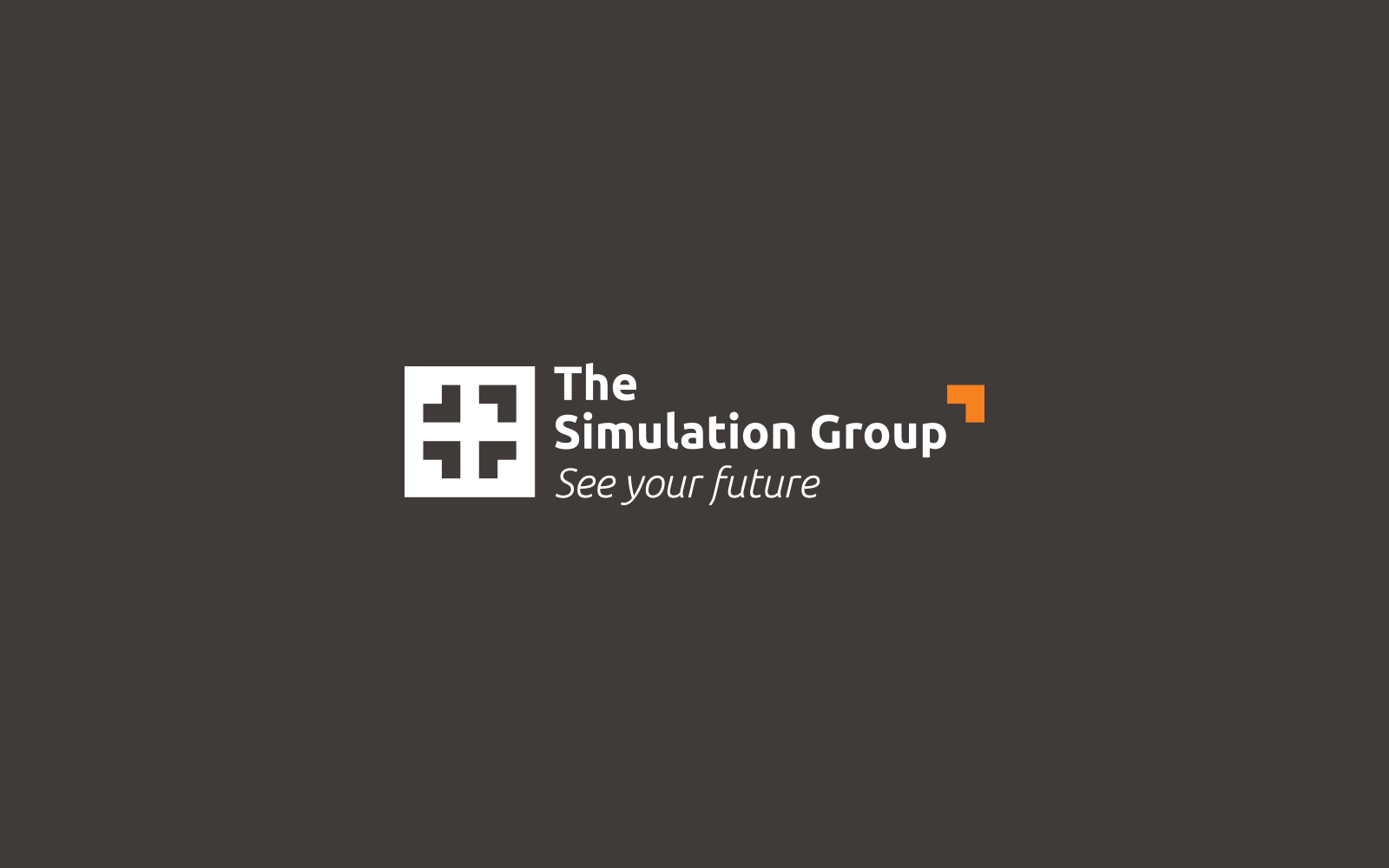 The Simulation Group - see your future