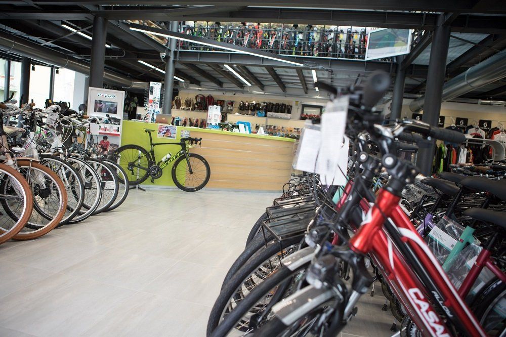 Biciclette esposte