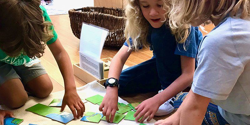 three elementary children working together with land and water forms cards