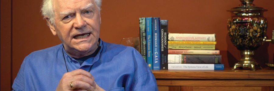 picture of Dr. Philip Snow Gang sitting in front of a side table with books on it