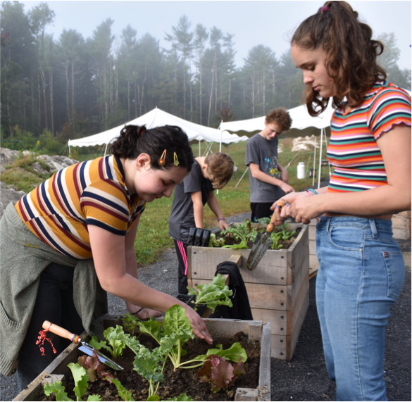 Adolescent students weeding garden boxes