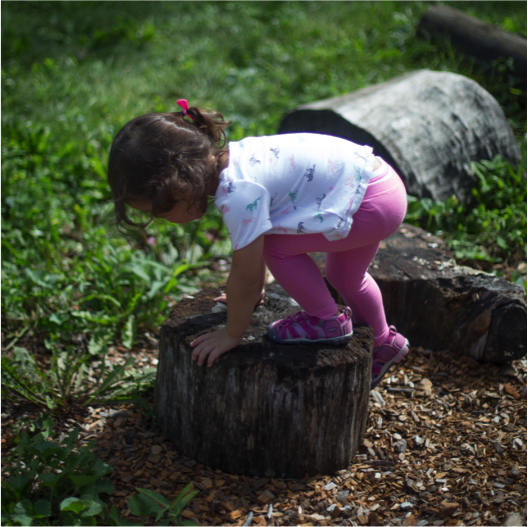 Toddler climbing on log