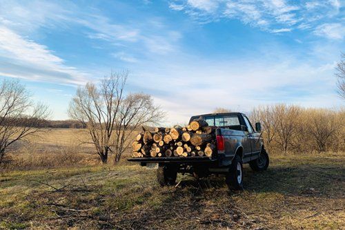 Logging Trucks Insurance