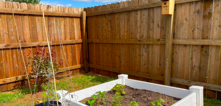 fence power washing after