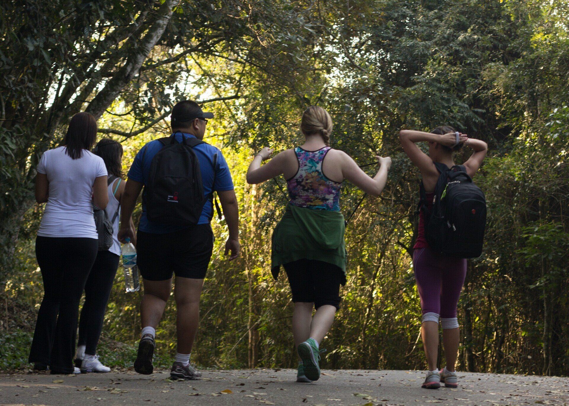 A group of people are walking down a path in the woods