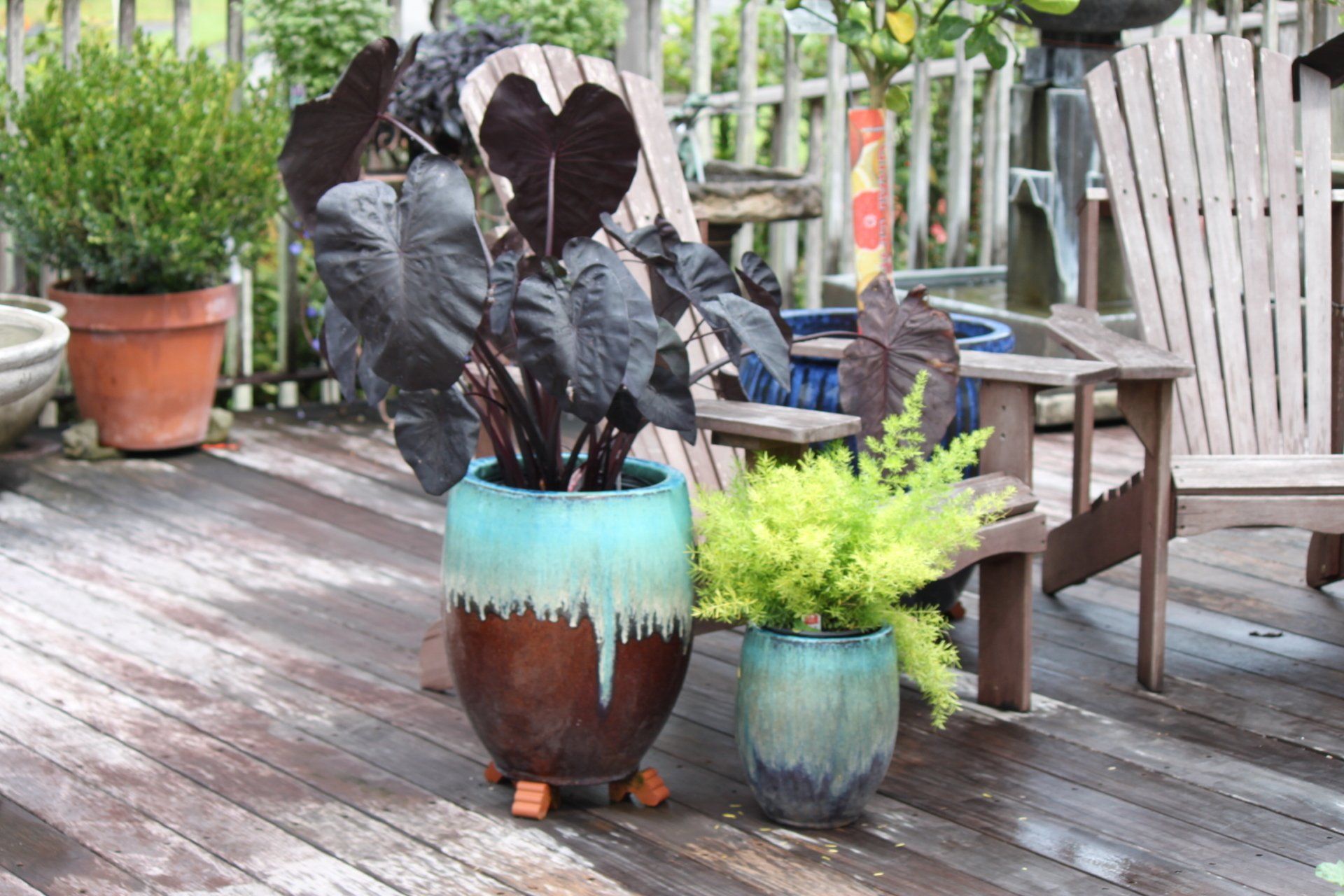 Plant Pottery — Grasshopper in Savannah, GA