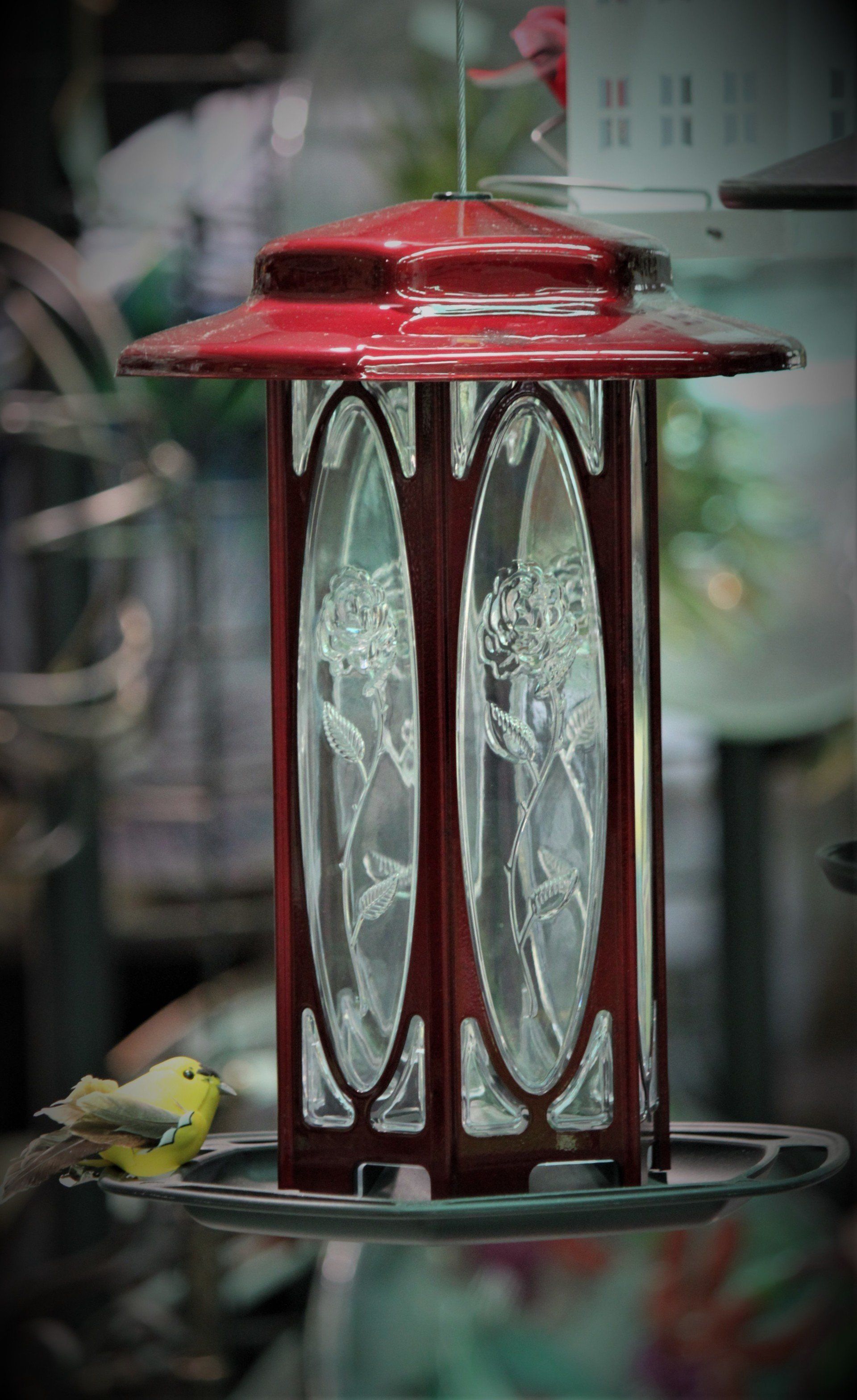 Fountains — Yellow Bird in Savannah, GA