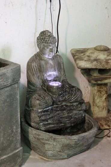 Trees And Shrubs — Buddha Fountain in Savannah, GA