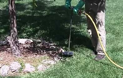 Deep Root Feeding