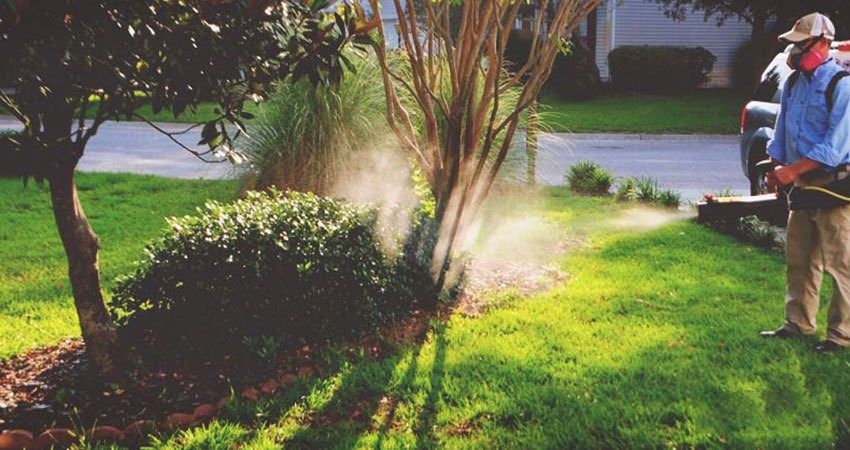 Mosquito treatment