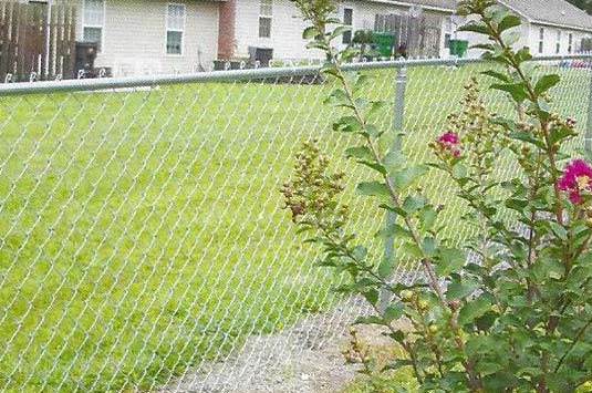 Full Frame of Wire Fence — Atlanta, GA — West Georgia Fence Co