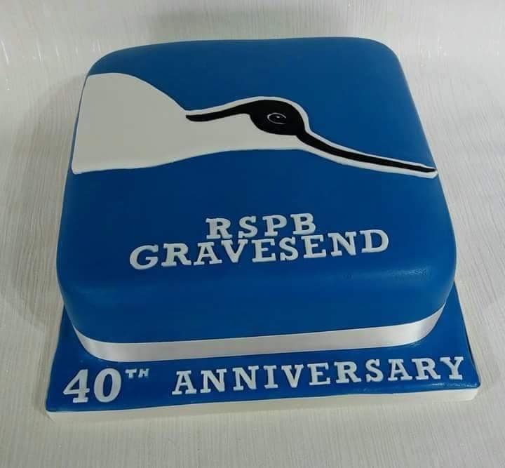 Bird cake RSPB