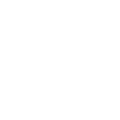 Icona - lezione online