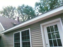 Before Leaf Lock 2 The exterior of a house with light green vinyl siding, a white-framed glass door, windows, and a dark shingled roof.