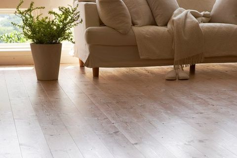 wood floor with couch and houseplant wood floor with couch and houseplant