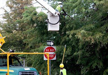 Municipal Tree Trimming Service — Hastings, MN — Rivertown Tree Service Municipal Tree Trimming Service — Hastings, MN — Rivertown Tree Service