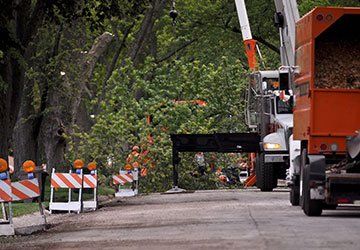 Commercial Tree Trimming Service — Hastings, MN — Rivertown Tree Service Commercial Tree Trimming Service — Hastings, MN — Rivertown Tree Service
