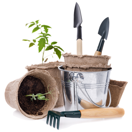produzione di cannabis light, canapa light, biologica, ecostestenibile, biocompatibile. I nostri prodotti sono testati in laboratorio e promuoviamo collaborazioni mirate all'economia circolare