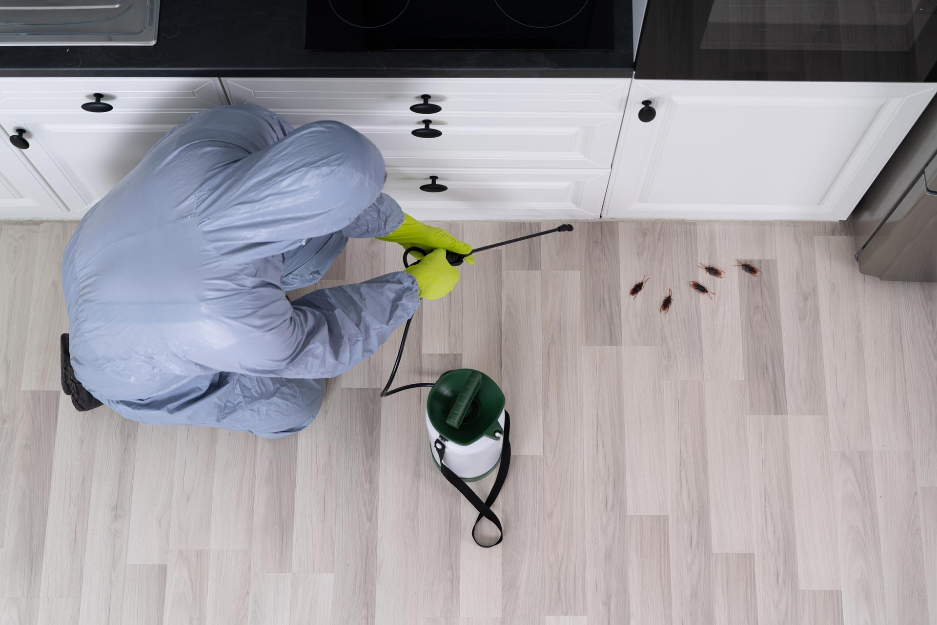Exterminator In Uniform — Fort Smith, AR — Five Star Pest Control Exterminator In Uniform — Fort Smith, AR — Five Star Pest Control