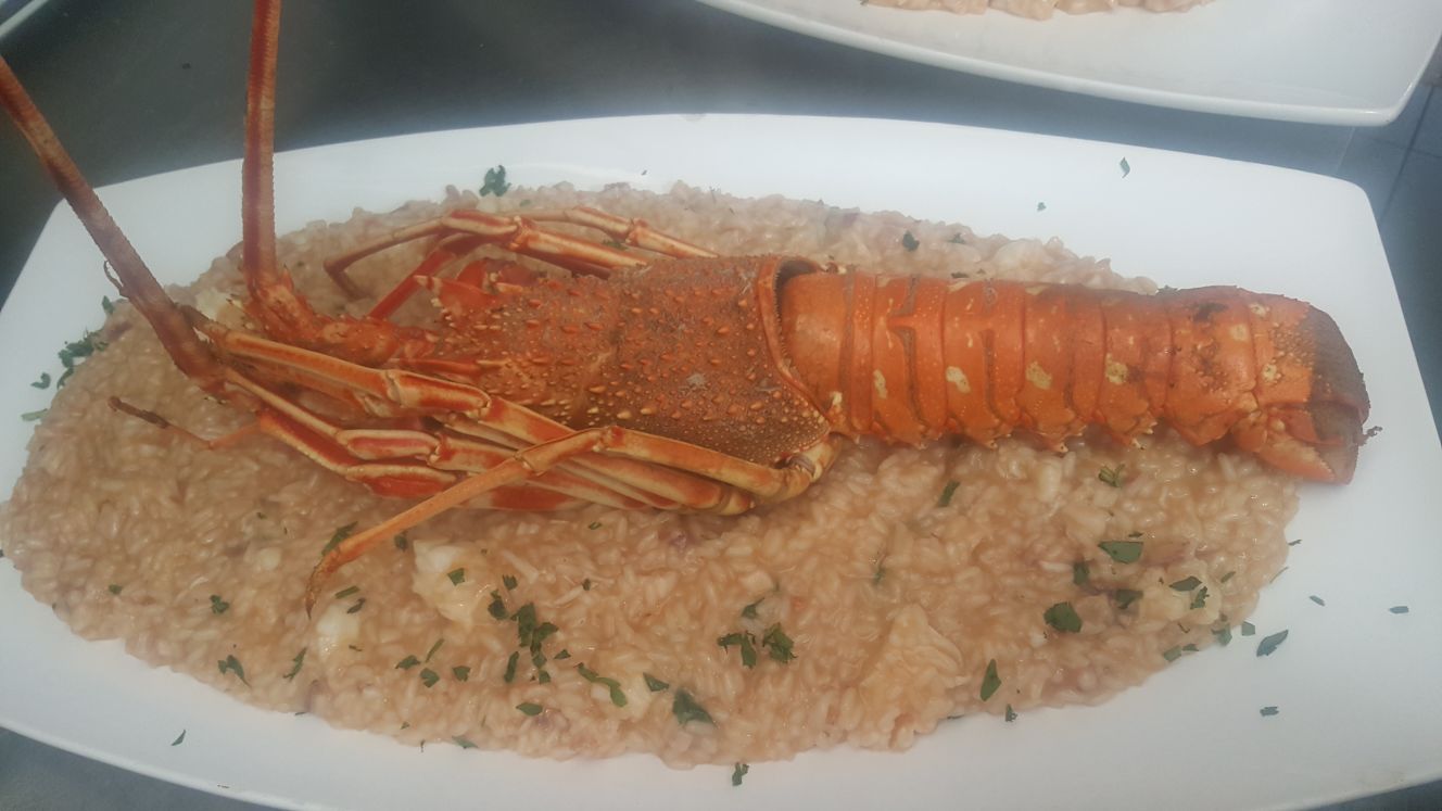 risotto con aragosta