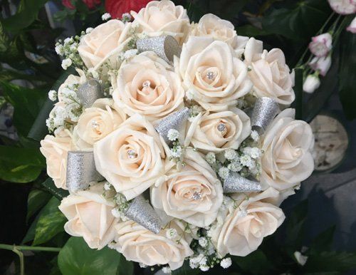 rose bianche