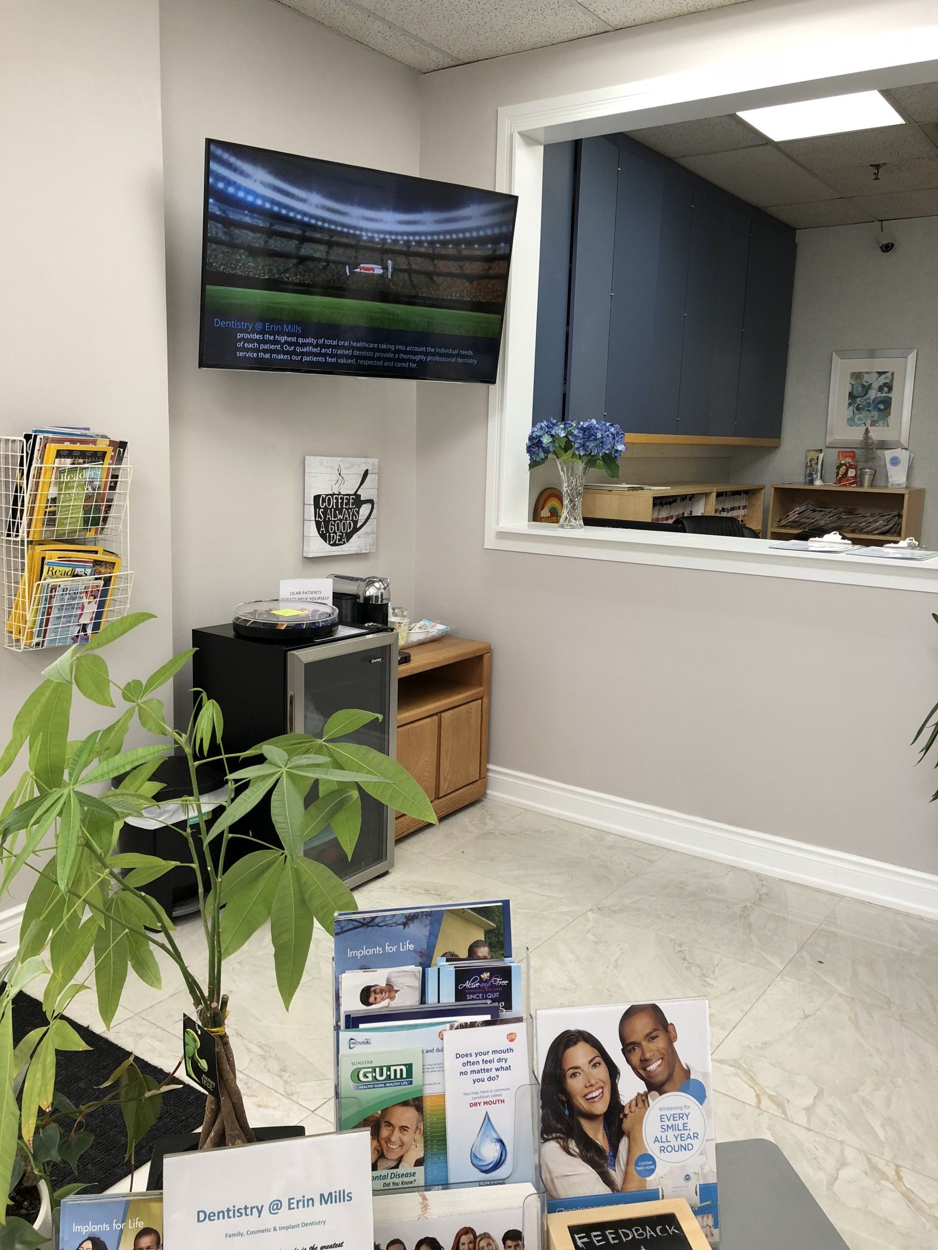 Waiting room featuring a TV, brochures on a stand, a potted plant, and a service window looking into a back office.