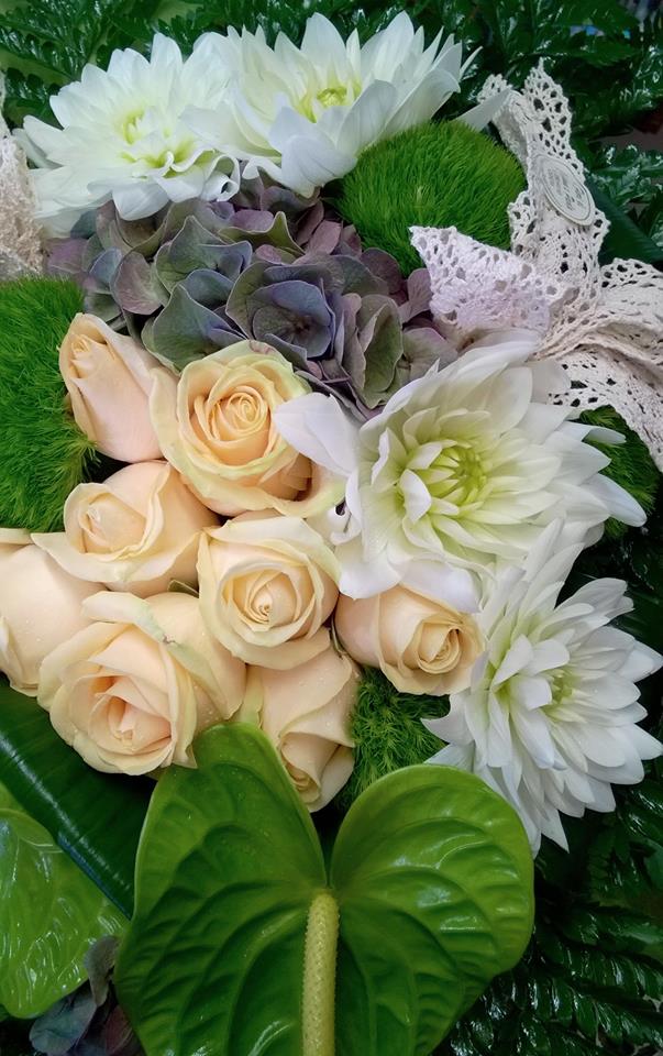 rose bianche