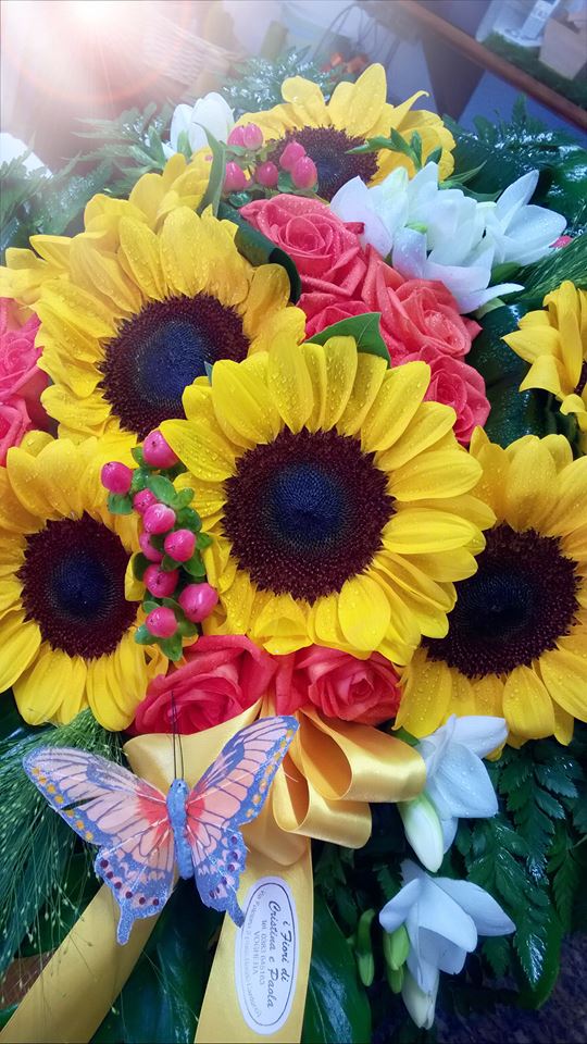 girasoli