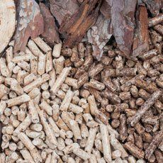 seasoned hardwood logs
