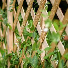 Different types of fencing