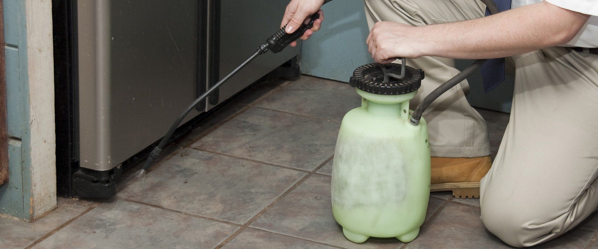 Pest Inspections
