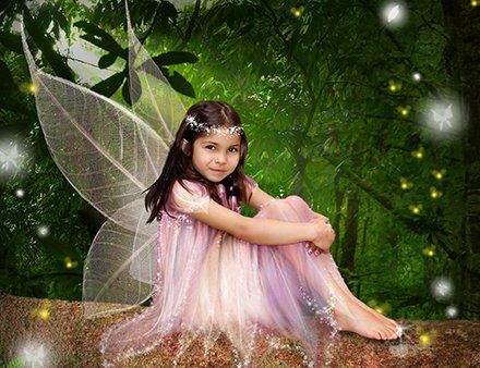 Fairies