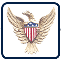 Eagle Icon Eagle Icon