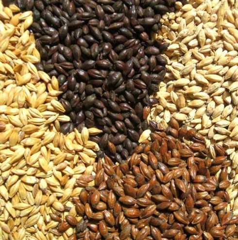 Vendita di additivi