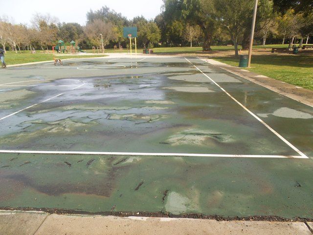 BASKETBALL COURT BEFORE