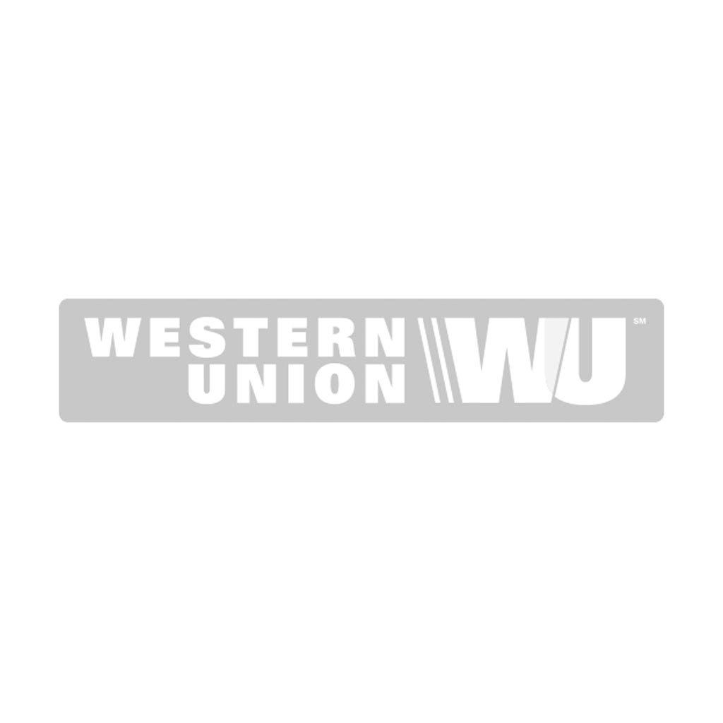 The western union logo is gray and white on a white background.