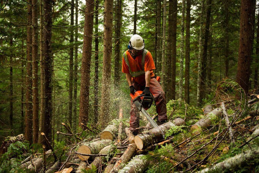 EFAW - F Forestry level 3 (Blended part 1)
