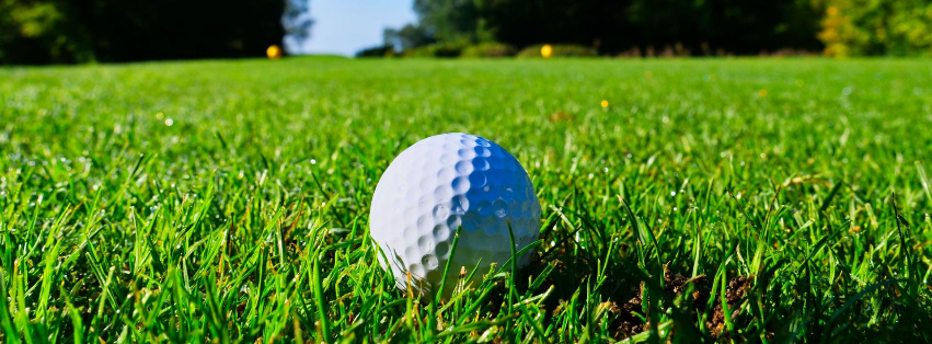 Marketing Doris - Golf Marketing Feedback