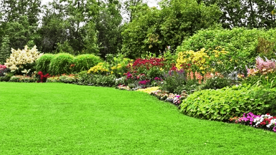 giardino curato