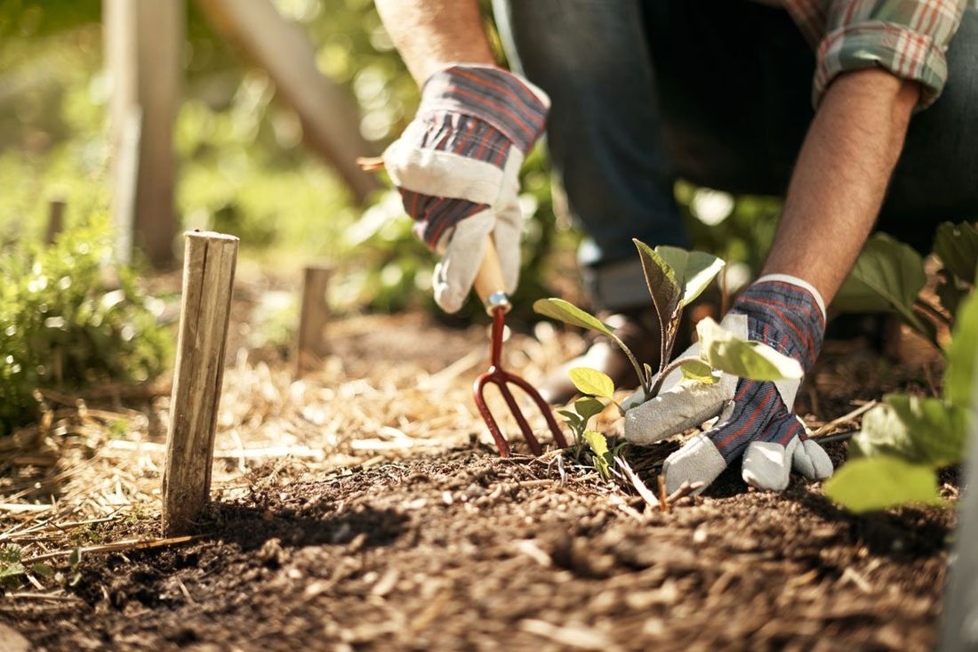 lavori di giardinaggio