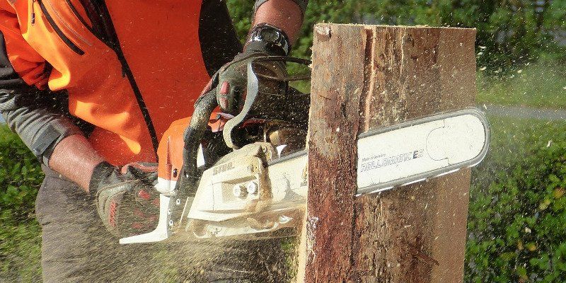operatore ditta mentre taglia il tronco di un albero