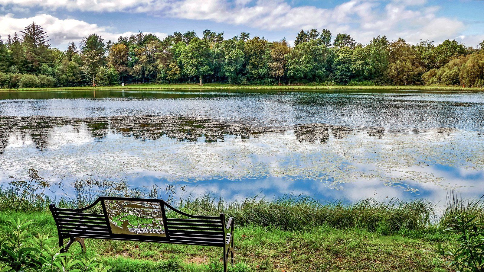 Take A Seat by Jan Brotherton