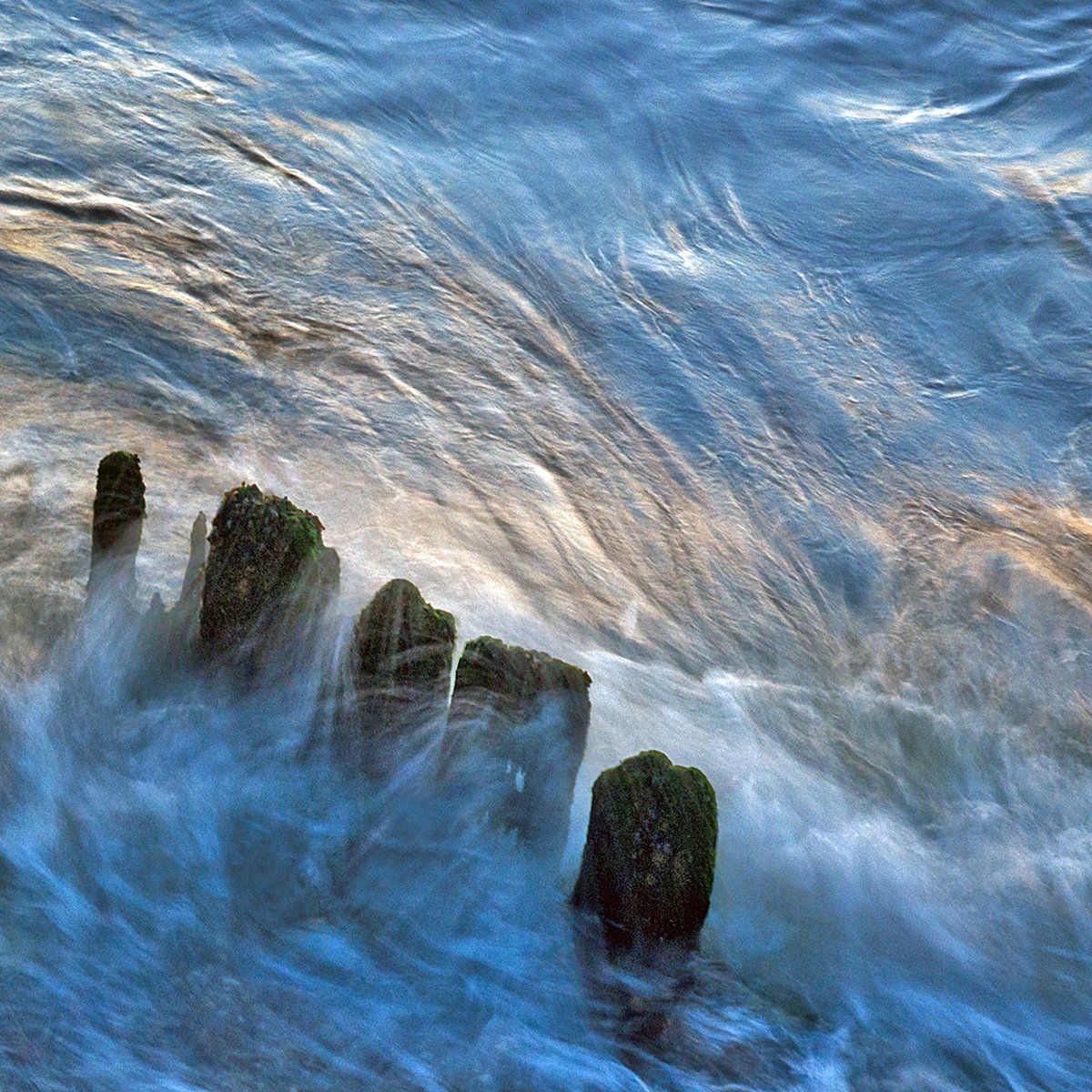 Newton Shore by Roy Smith
