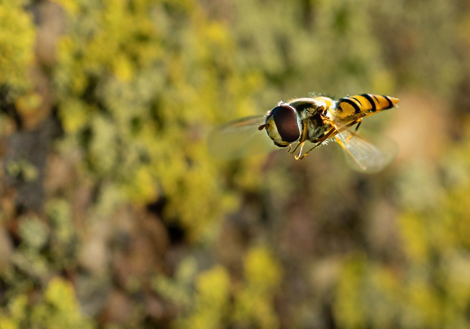 Something In The Air by Steven Lawrie