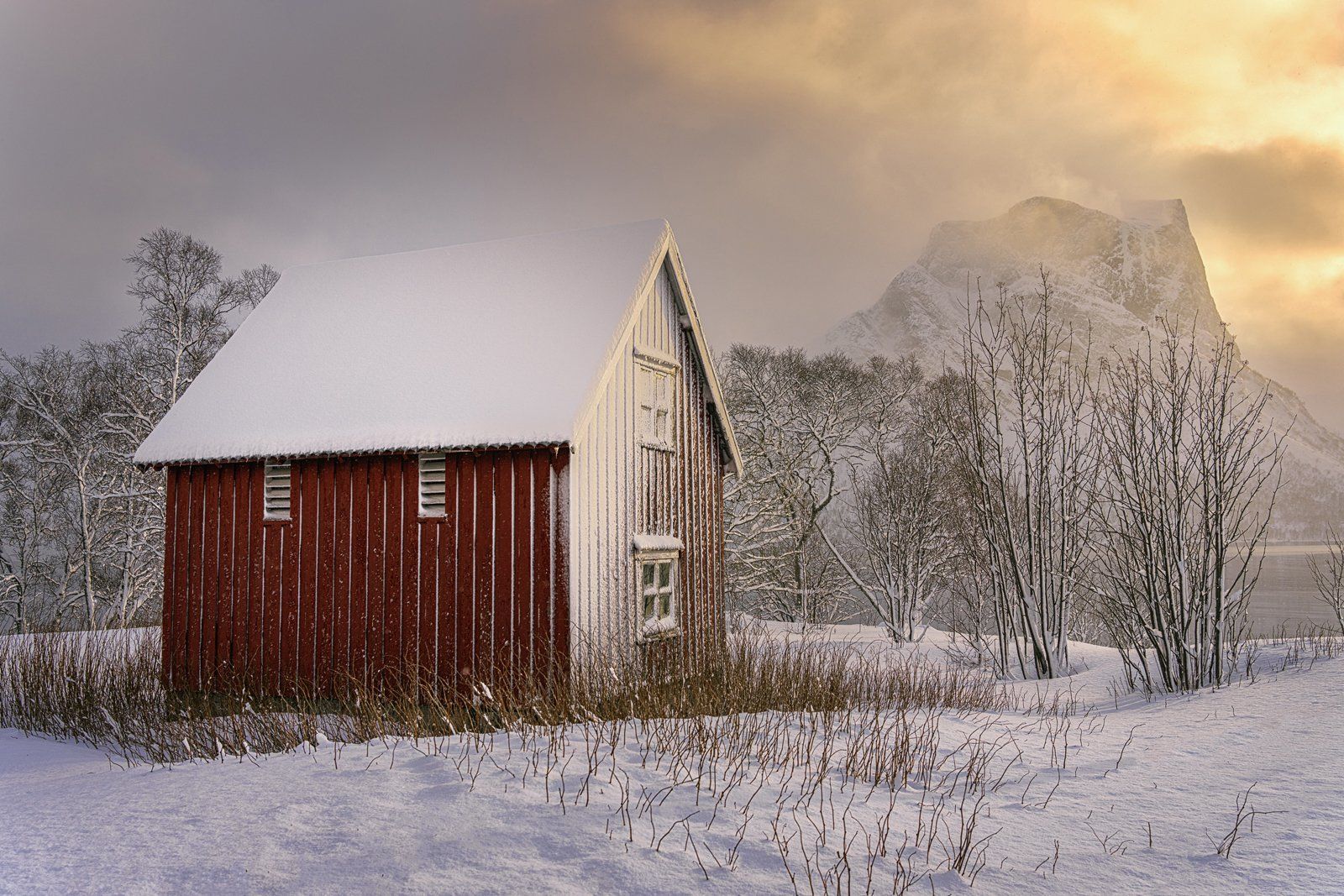 First Glimpse Of Morning by Scott Williams