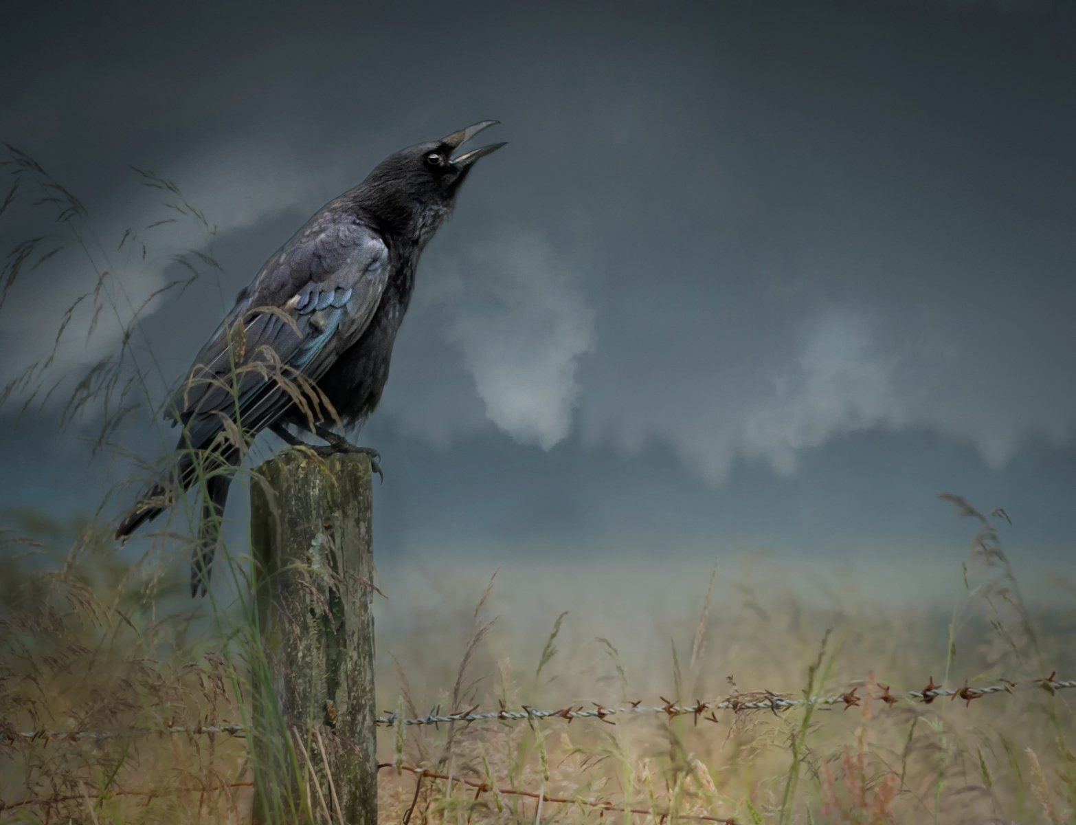 The warrior goddess Morrighan